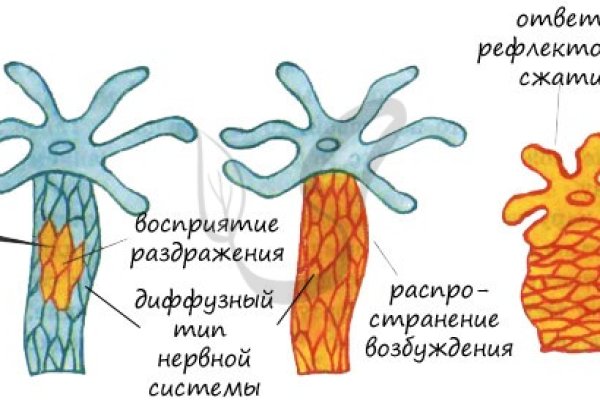 Угнали аккаунт кракен