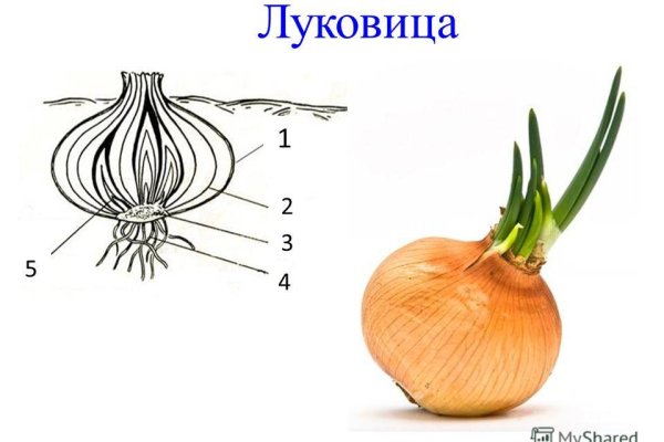 Ссылки на кракен маркетплейс