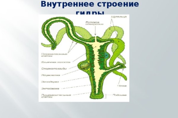 Купон кракен даркнет