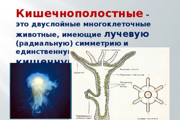 Ссылка на кракен в браузере